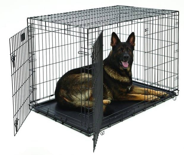 MidWest Life Stages Heavy-Duty Folding Metal Dog Crates Review