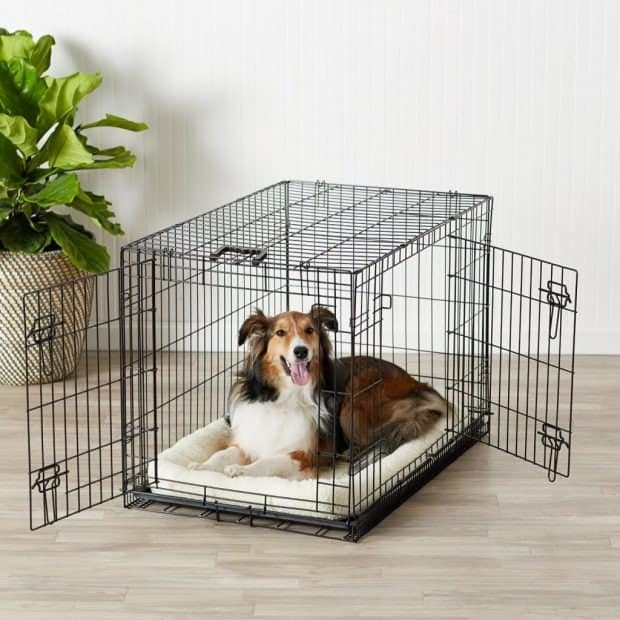 AmazonBasics Single & Double Door Dog Crate with Paw Protector Review